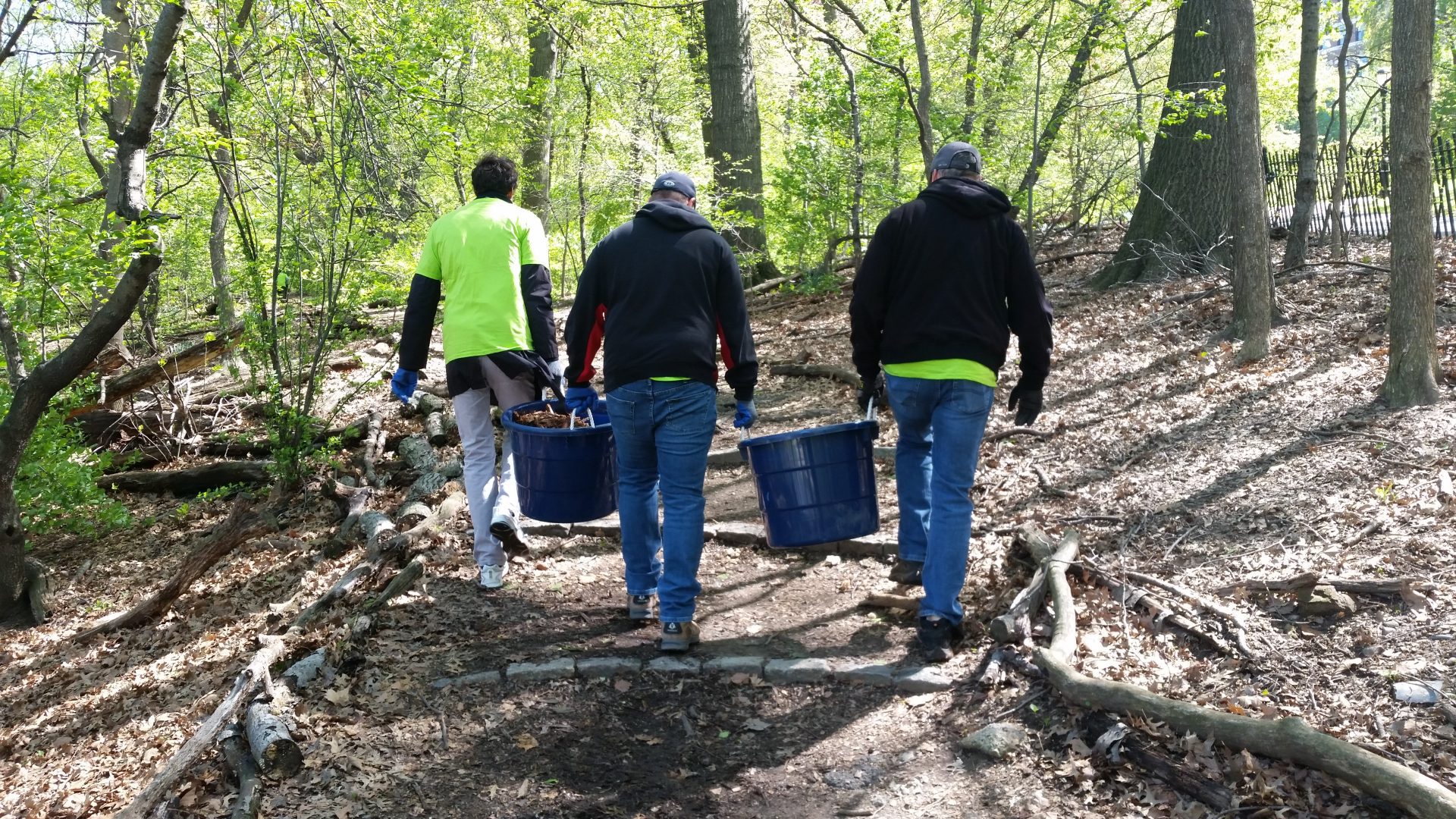 Volunteers carry a bucket through a woodland path