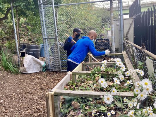 Volunteers turn a compost pile