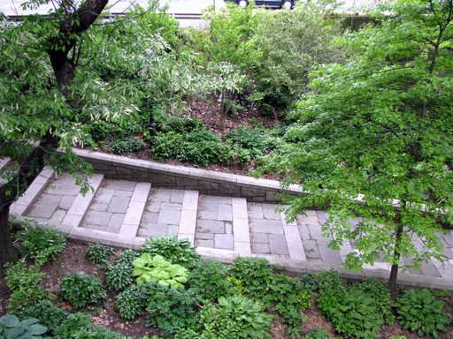 Staircase with thriving garden