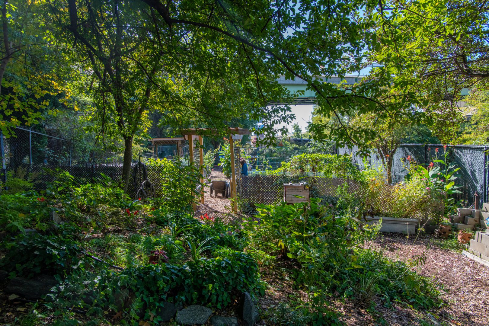 interior Riverside Valley Community Garden banner image