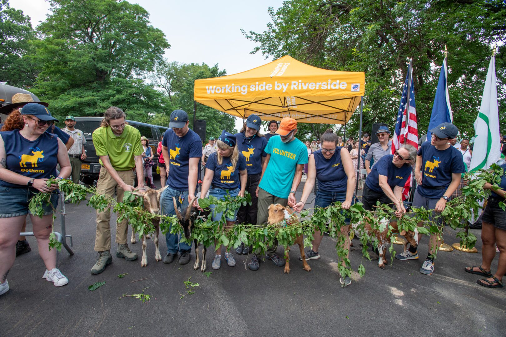 Riverside Park's Beloved Weed-Eating Goats Will Return On July 12 To A ...