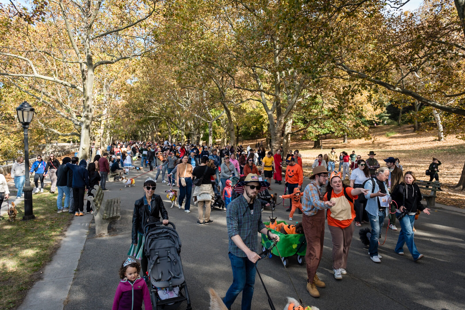 interior Riverside Park Neighbors Celebrate Halloween with Park’s First Ever Dog Parade and Costume Contest banner image