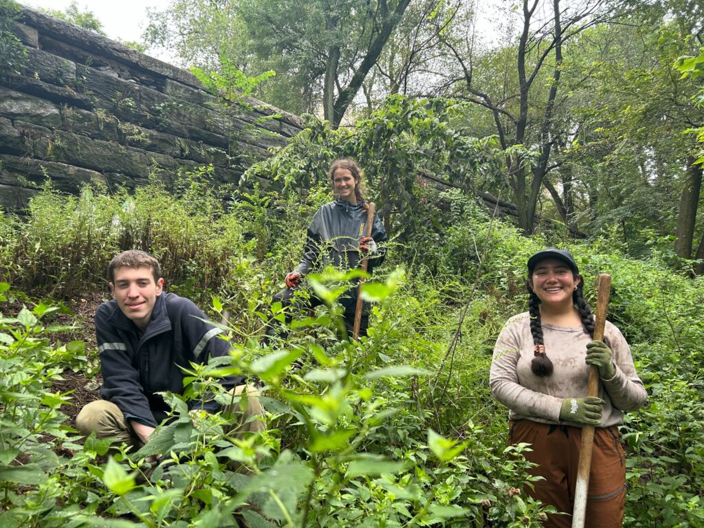 Two volunteers standing on either side of a staff member, on a slope next to the retaining wall in Riverside Park. They're holding supplies for weeding. The vegetation is very green and the sky is overcast.