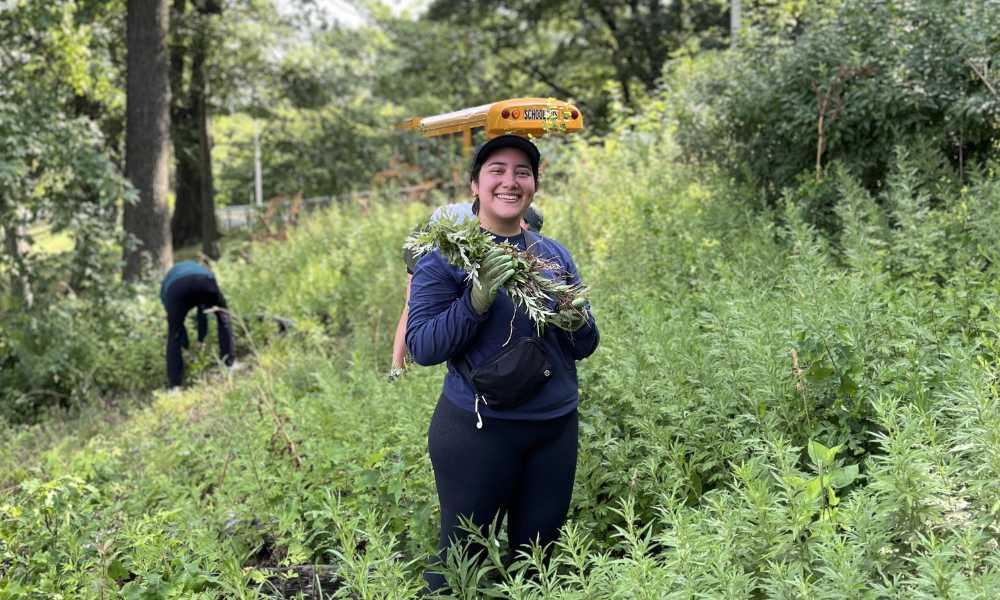 A volunteer wearing long pants and sleeves and a baseball cap, centered in the image, smiling at the camera, holding weeds and standing on a slope covered in mugwort.