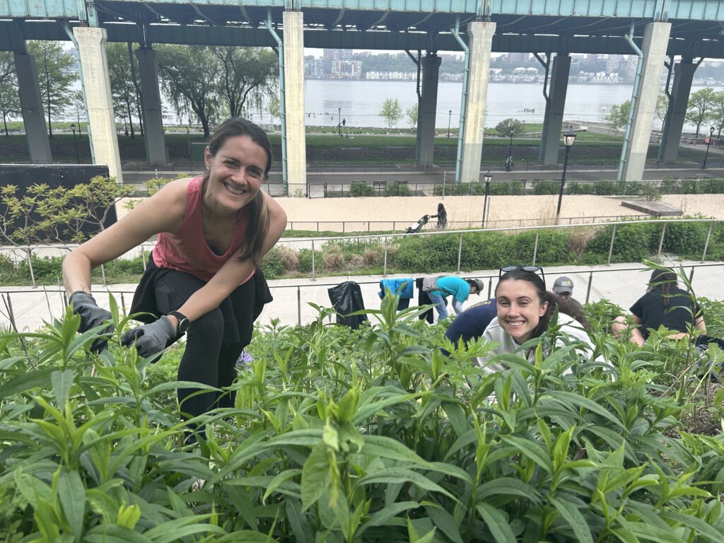 Two volunteers smiling at the camera, standing and kneeling on a vegetated slope in Riverside Park South. It looks to be summer, the plants are green and the volunteers are wearing short sleeves. The river and Henry Hudson highway are in the background.